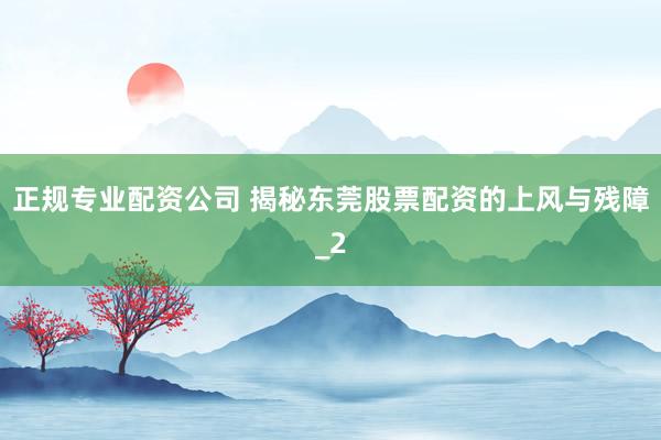 正规专业配资公司 揭秘东莞股票配资的上风与残障_2